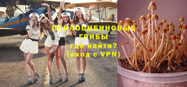дмт Аркадак