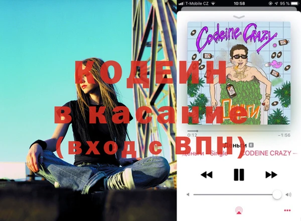 гашик Алексеевка